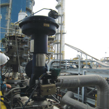 PHU MY FERTILIZER PLANT